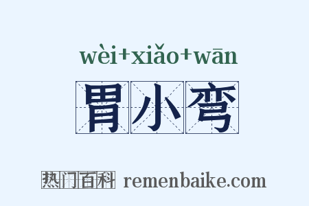 胃小弯是什么意思的图片